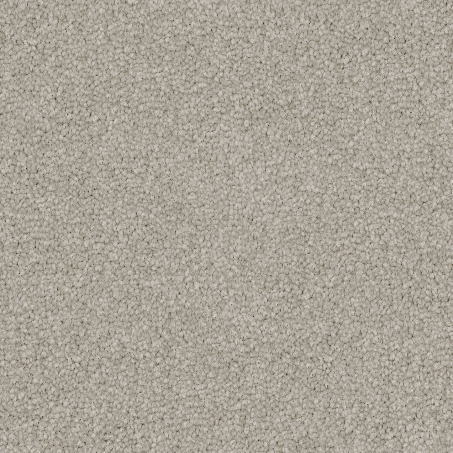 Poly25 Polyester Carpet Deep Grey
