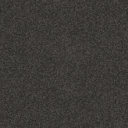 Poly25 Polyester Carpet Urban Grey