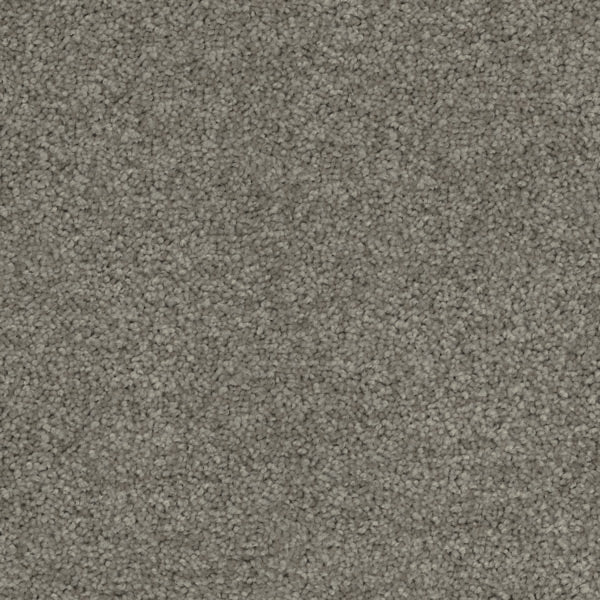 Inspirational Eco+ Triexta Carpet Arctic Grey
