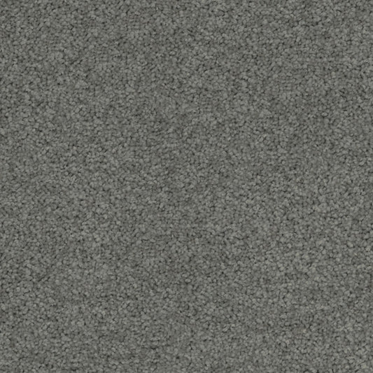 Inspirational Eco+ Triexta Carpet Dark Grey