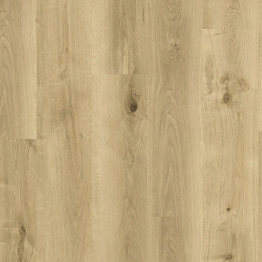 RP60 Rigid Plank Hybrid Flooring Spring Valley Oak