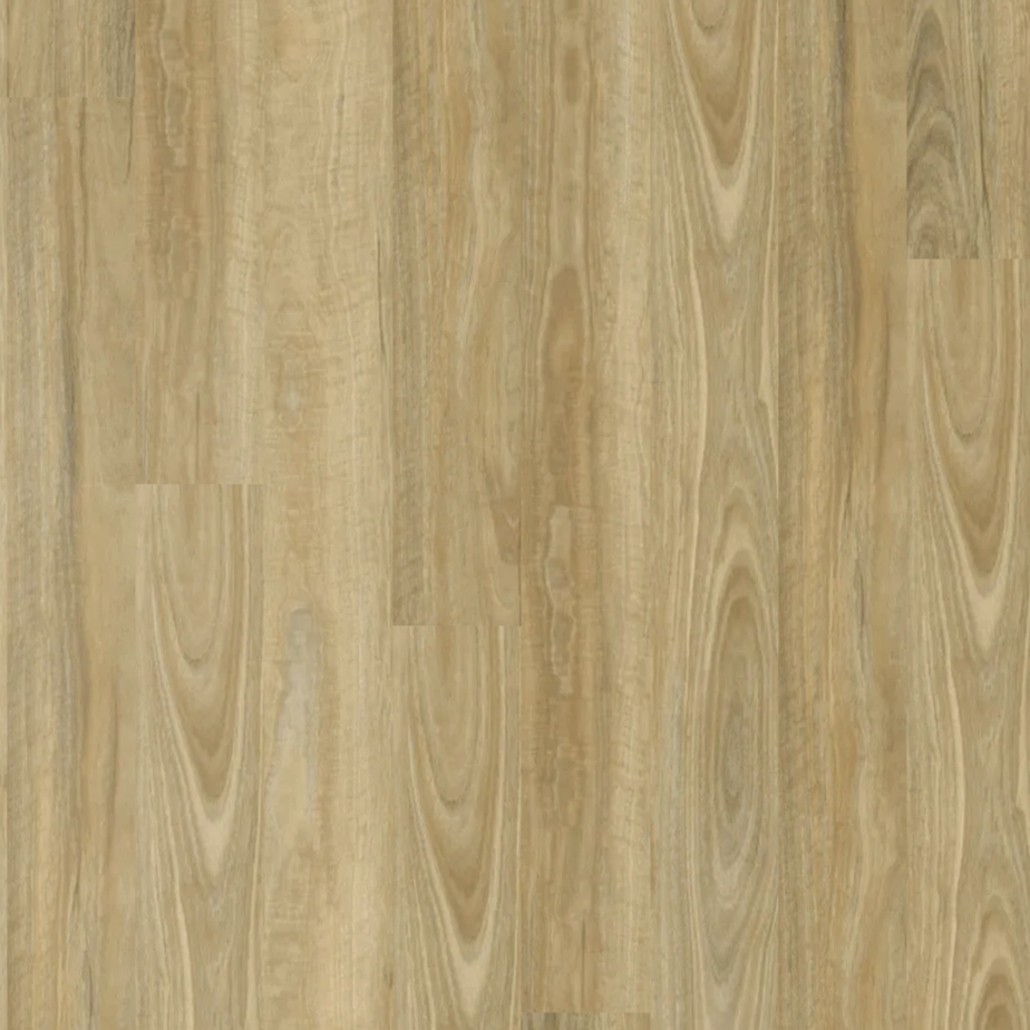 Apollo Hardwood Hybrid Flooring Spotted Gum Blonde