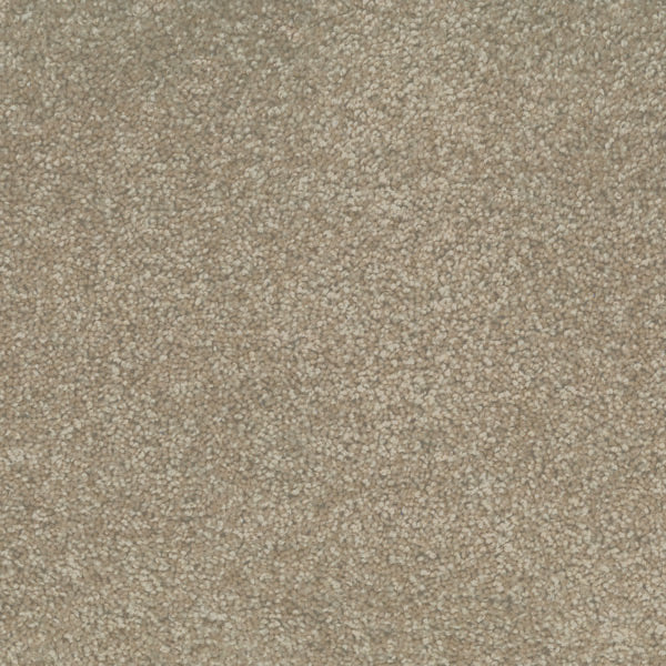 Unwind Eco+ Triexta Carpet Cottonseed