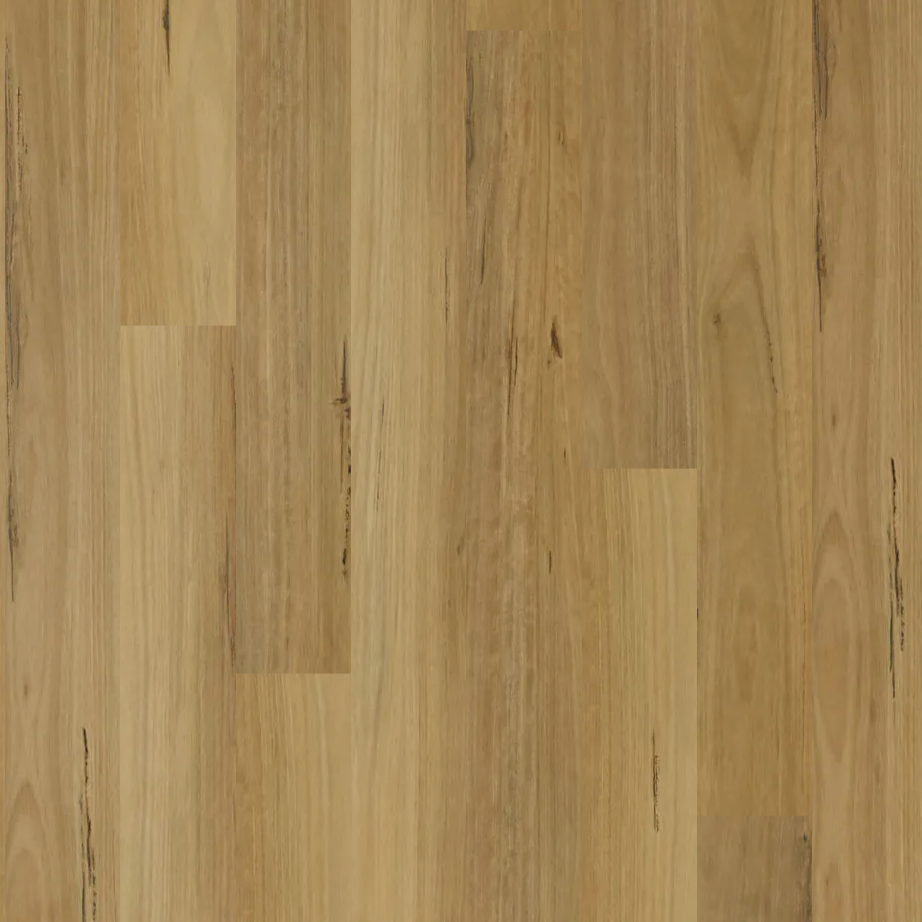Apollo Hardwood Hybrid Flooring Blackbutt Elegant