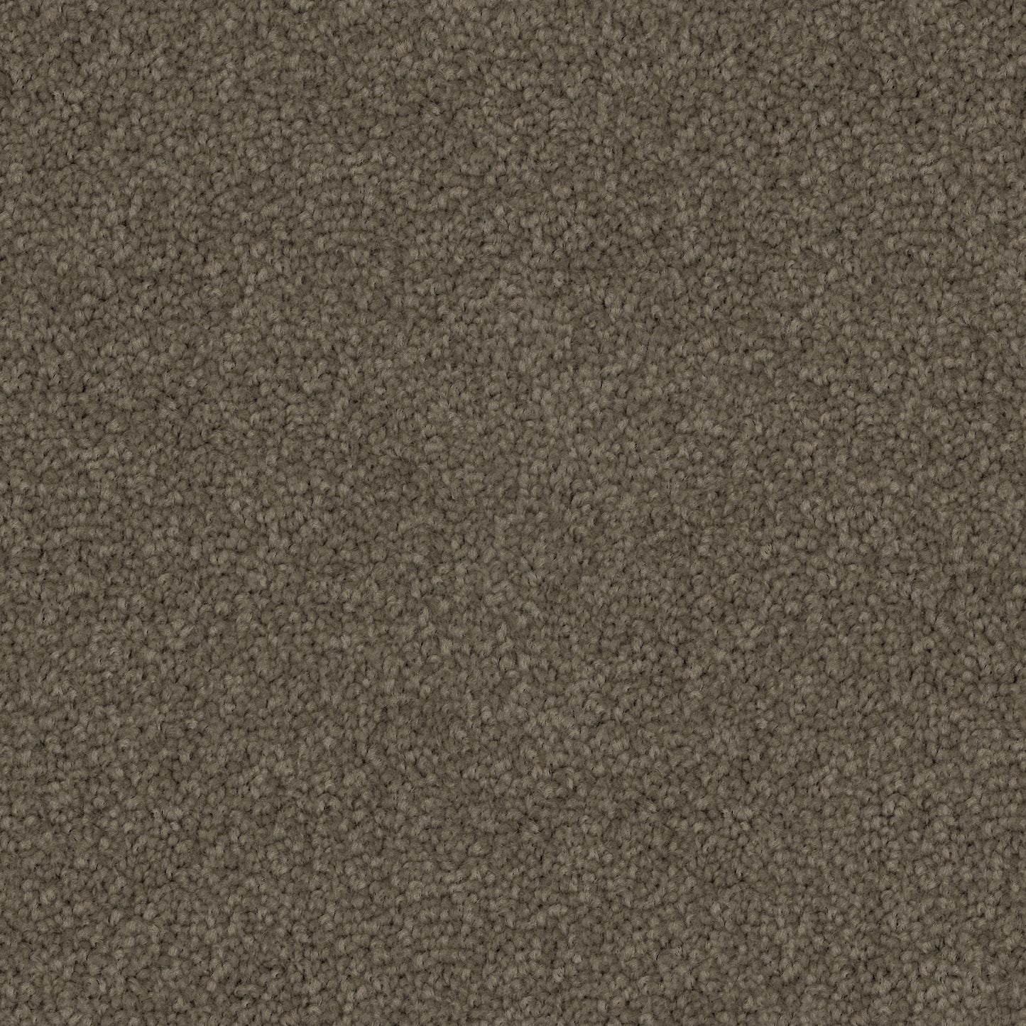 Poly25 Polyester Carpet Pebble Bay
