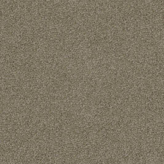 Poly25 Polyester Carpet Hazelnut