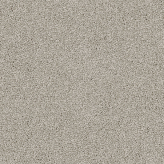 Poly25 Polyester Carpet Deep Grey