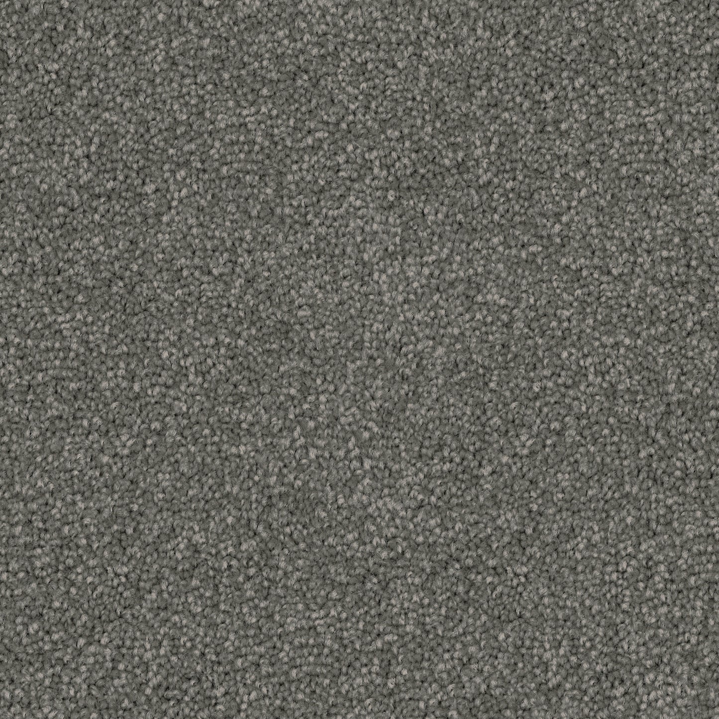 Poly25 Polyester Carpet Pebble Grey