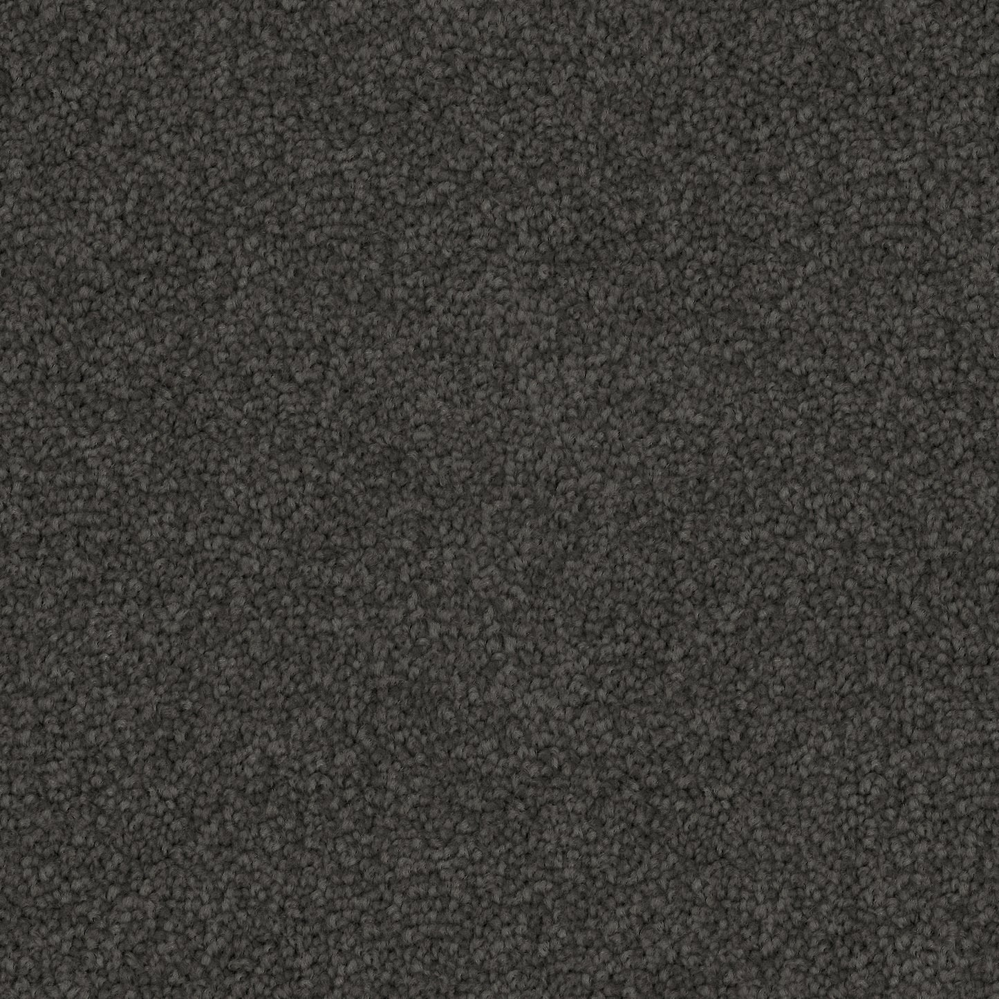 Poly25 Polyester Carpet Urban Grey