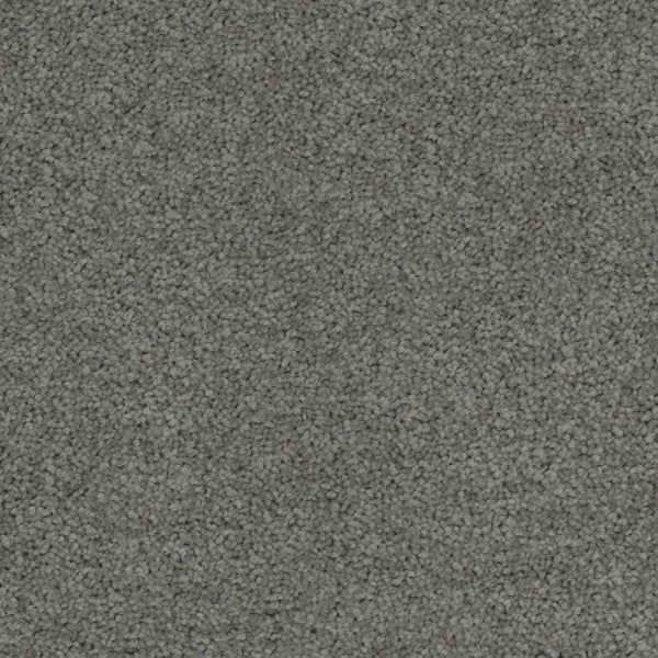 Inspirational Eco+ Triexta Carpet Dark Grey