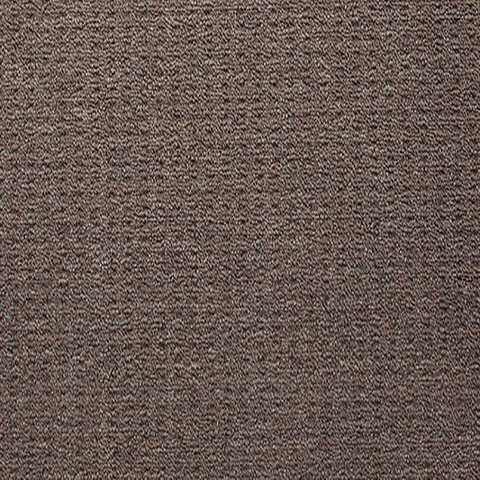 Blockbuster Plus Carpet Brindle PP by Beaulieu Carpets