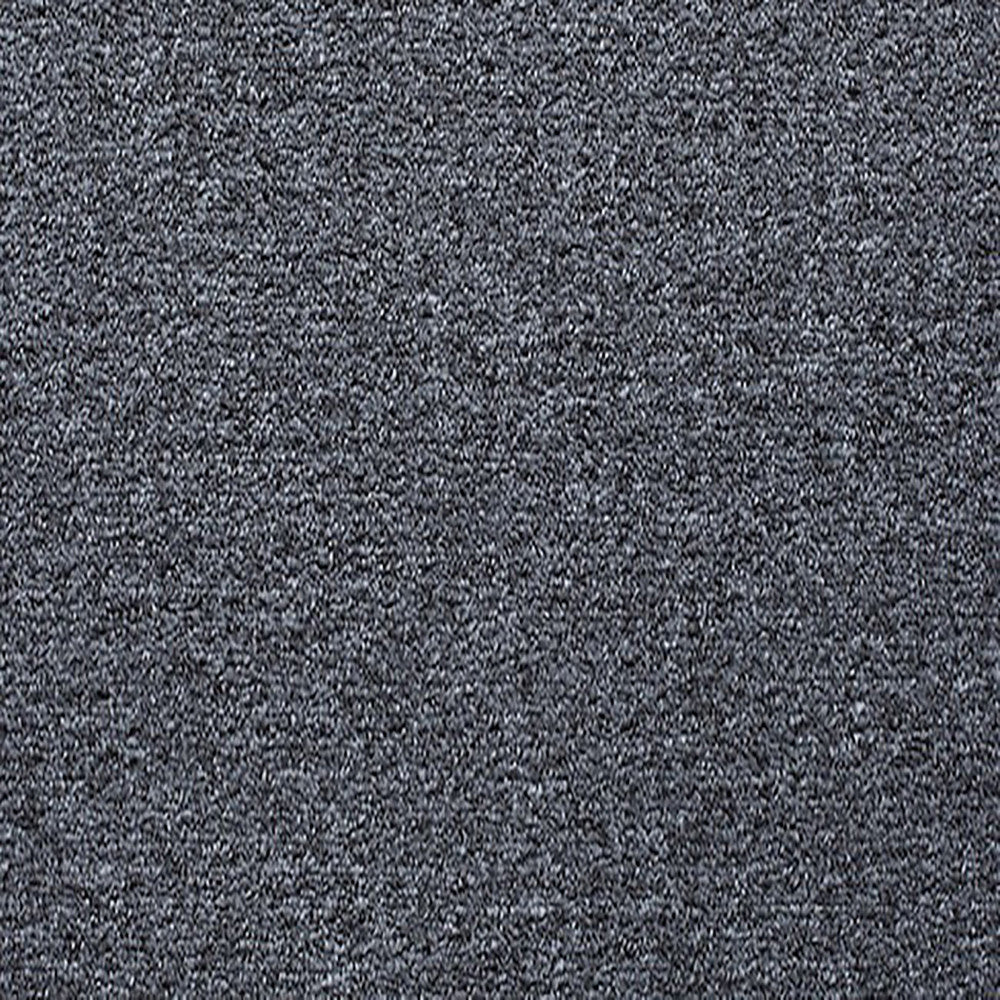 Blockbuster Plus Carpet Executive PP by Beaulieu Carpets