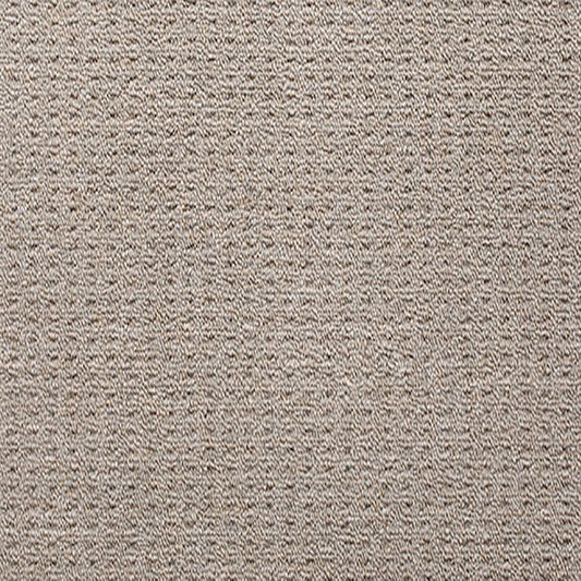 Blockbuster Plus Carpet Oakwood PP by Beaulieu Carpets