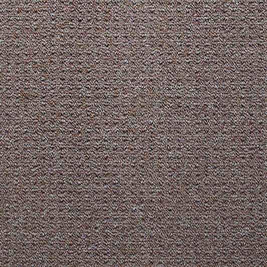 Blockbuster Plus Carpet Pepper Mill PP by Beaulieu Carpets