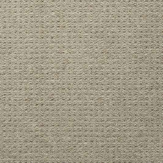 Blockbuster Plus Carpet Sandbar PP by Beaulieu Carpets