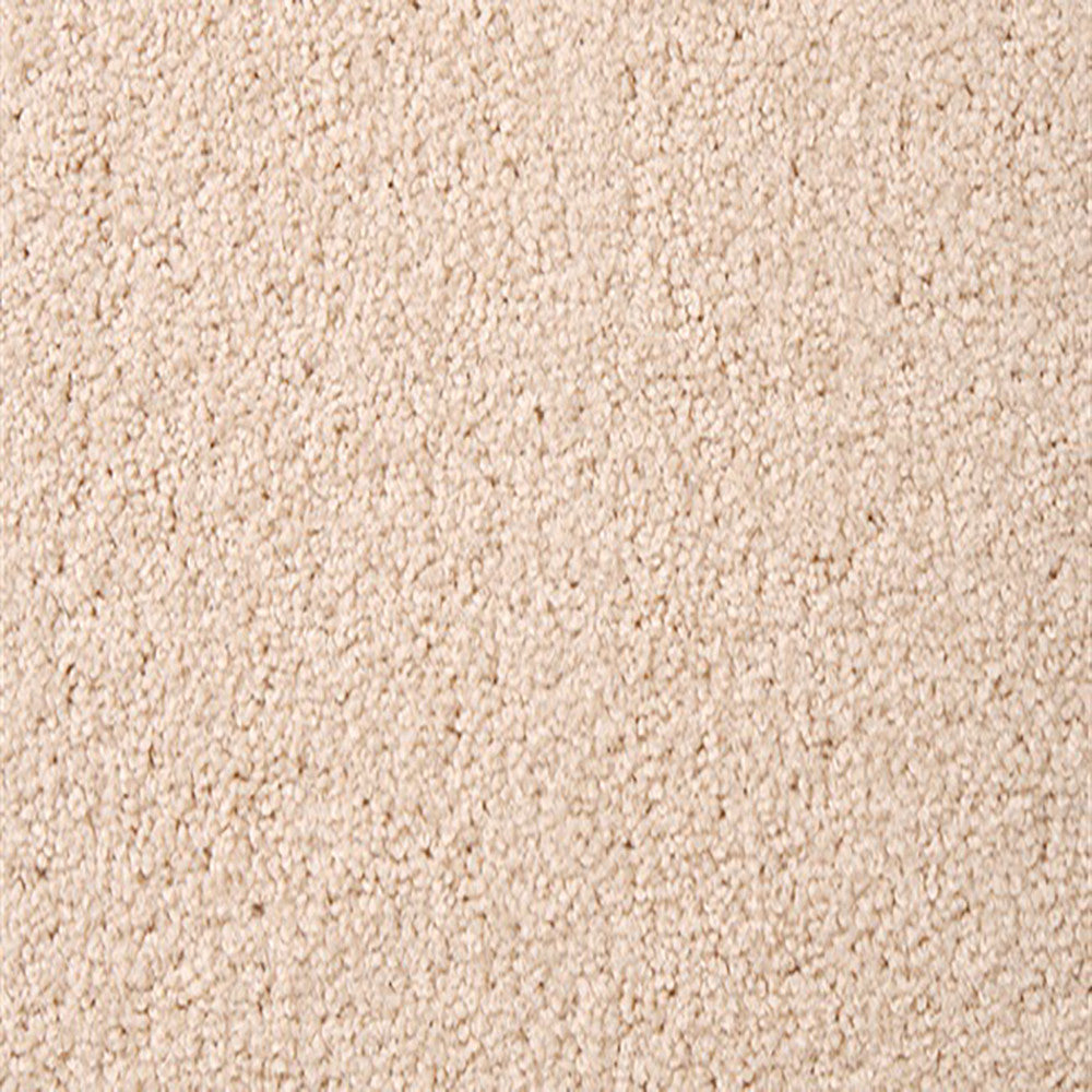 Critics Choice Carpet Shell SDN by Beaulieu Carpets