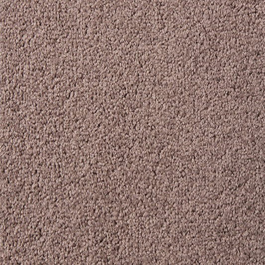 Critics Choice Carpet Sorrell SDN by Beaulieu Carpets
