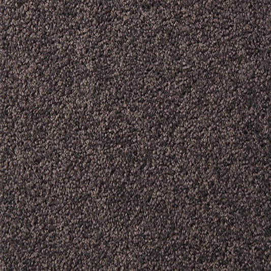 Critics Choice Carpet Taupe SDN by Beaulieu Carpets