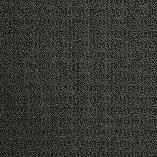 Nevada Sands Carpet Charcoal PP by Beaulieu Carpets